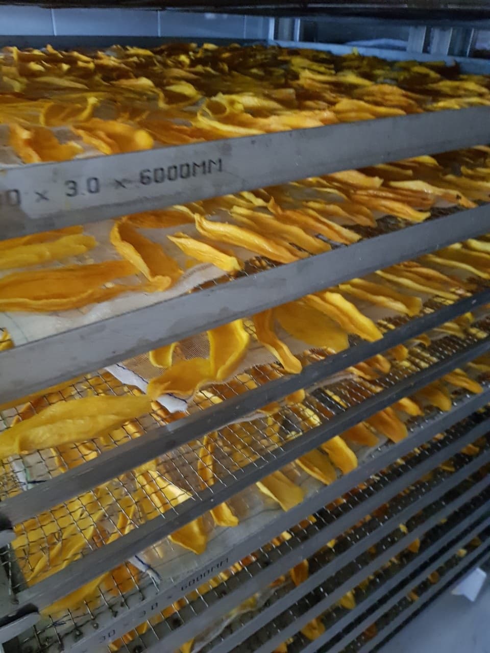 soft dried mango Ws 84 1642 940 860
